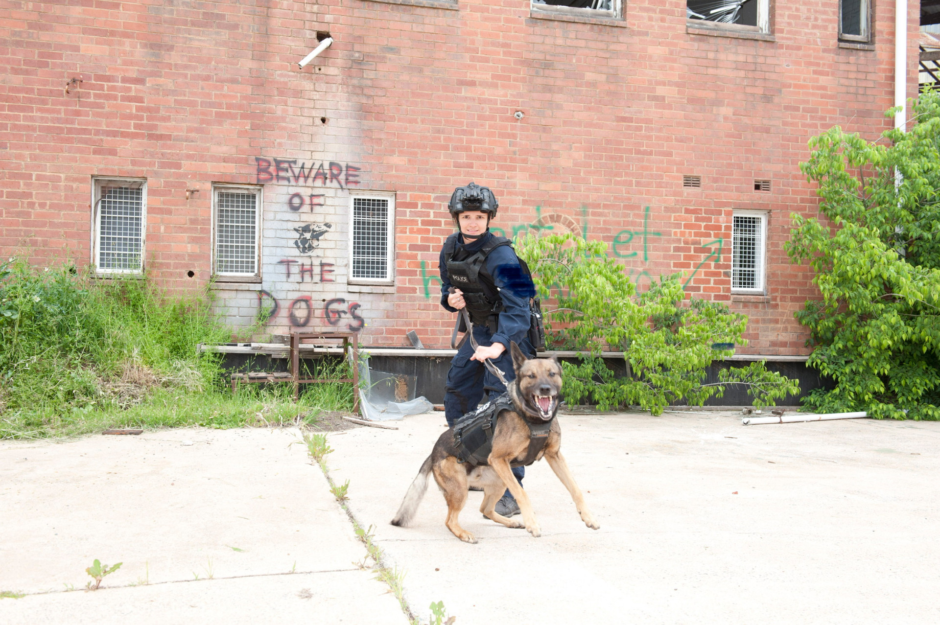 Emma in tactical gear handling a working police dog during training